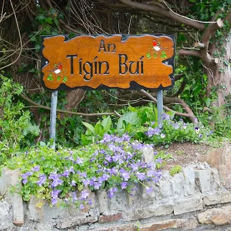 Casa vacanze An Tigin Bui