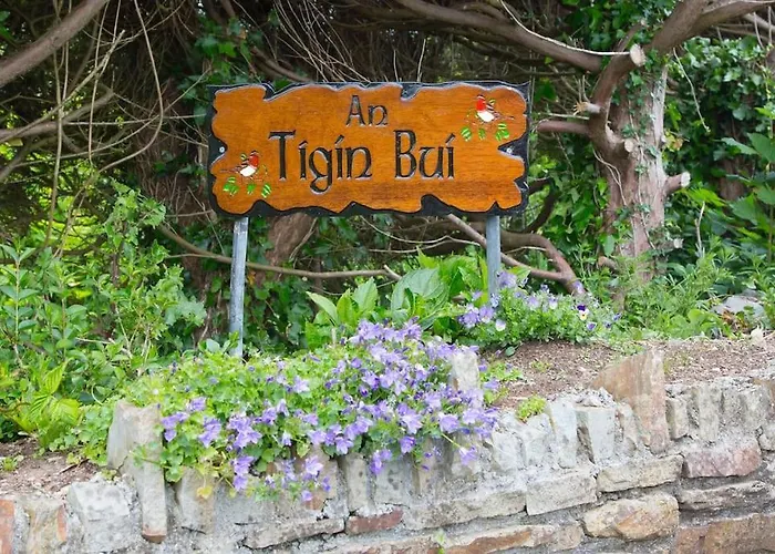 Semesterbostad An Tigin Bui